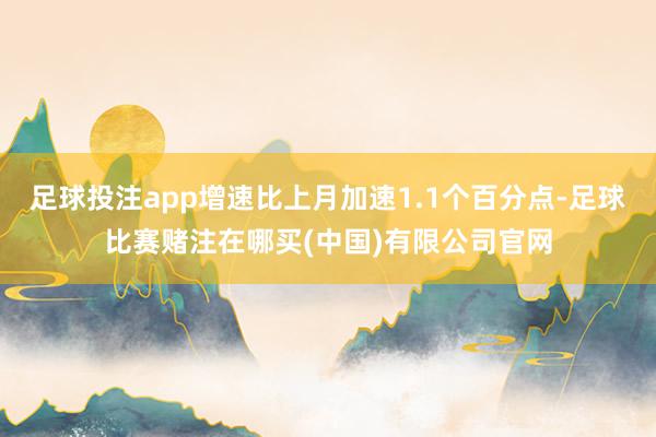 足球投注app增速比上月加速1.1个百分点-足球比赛赌注在哪买(中国)有限公司官网