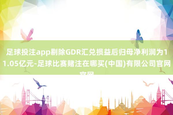 足球投注app剔除GDR汇兑损益后归母净利润为11.05亿元-足球比赛赌注在哪买(中国)有限公司官网