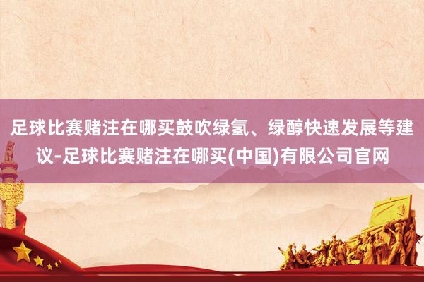 足球比赛赌注在哪买鼓吹绿氢、绿醇快速发展等建议-足球比赛赌注在哪买(中国)有限公司官网