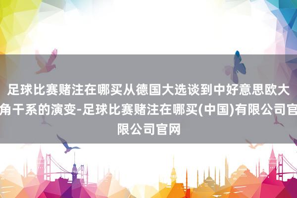 足球比赛赌注在哪买从德国大选谈到中好意思欧大三角干系的演变-足球比赛赌注在哪买(中国)有限公司官网