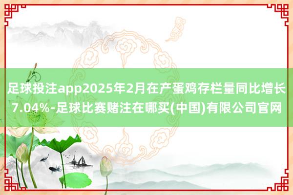 足球投注app2025年2月在产蛋鸡存栏量同比增长7.04%-足球比赛赌注在哪买(中国)有限公司官网