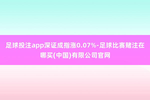 足球投注app深证成指涨0.07%-足球比赛赌注在哪买(中国)有限公司官网