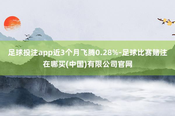足球投注app近3个月飞腾0.28%-足球比赛赌注在哪买(中国)有限公司官网