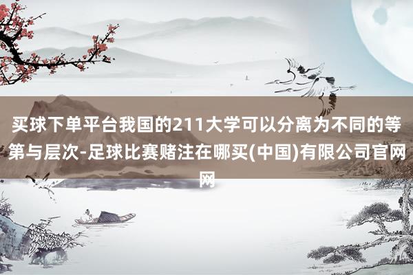 买球下单平台我国的211大学可以分离为不同的等第与层次-足球比赛赌注在哪买(中国)有限公司官网