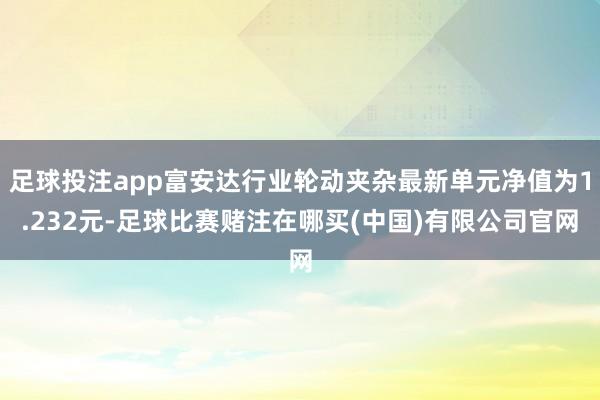 足球投注app富安达行业轮动夹杂最新单元净值为1.232元-足球比赛赌注在哪买(中国)有限公司官网
