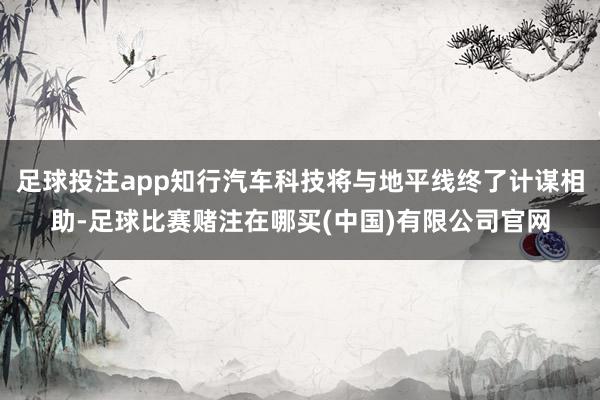 足球投注app知行汽车科技将与地平线终了计谋相助-足球比赛赌注在哪买(中国)有限公司官网