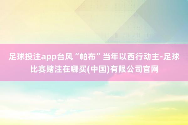 足球投注app台风“帕布”当年以西行动主-足球比赛赌注在哪买(中国)有限公司官网