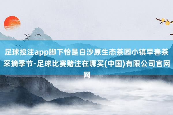 足球投注app脚下恰是白沙原生态茶园小镇早春茶采摘季节-足球比赛赌注在哪买(中国)有限公司官网