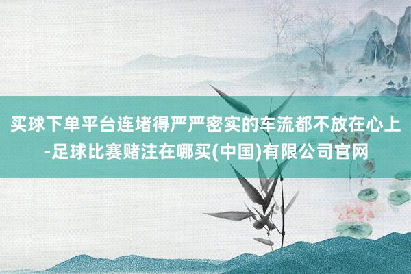买球下单平台连堵得严严密实的车流都不放在心上-足球比赛赌注在哪买(中国)有限公司官网