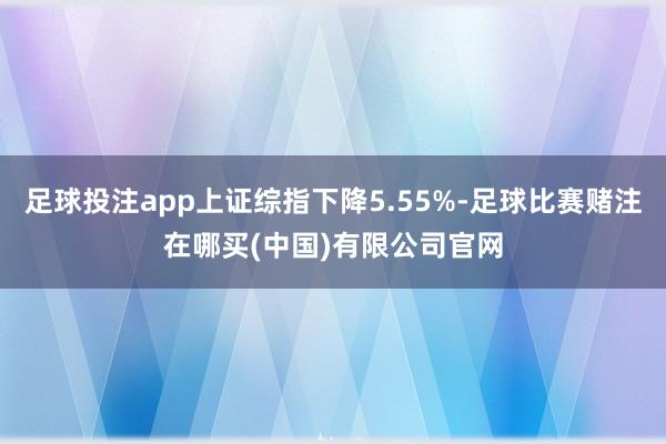 足球投注app上证综指下降5.55%-足球比赛赌注在哪买(中国)有限公司官网
