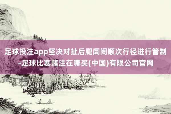 足球投注app坚决对扯后腿阛阓顺次行径进行管制-足球比赛赌注在哪买(中国)有限公司官网