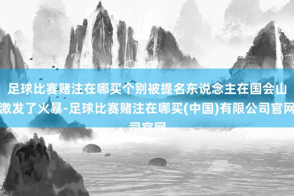 足球比赛赌注在哪买个别被提名东说念主在国会山激发了火暴-足球比赛赌注在哪买(中国)有限公司官网