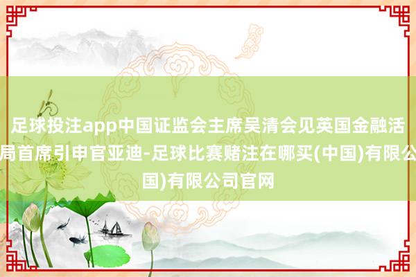 足球投注app中国证监会主席吴清会见英国金融活动监管局首席引申官亚迪-足球比赛赌注在哪买(中国)有限公司官网