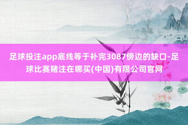 足球投注app底线等于补完3087傍边的缺口-足球比赛赌注在哪买(中国)有限公司官网