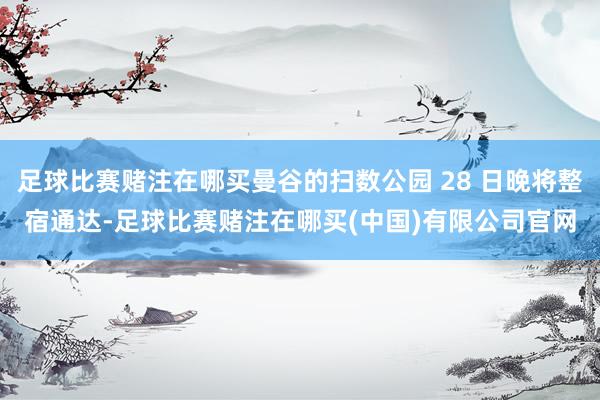 足球比赛赌注在哪买曼谷的扫数公园 28 日晚将整宿通达-足球比赛赌注在哪买(中国)有限公司官网
