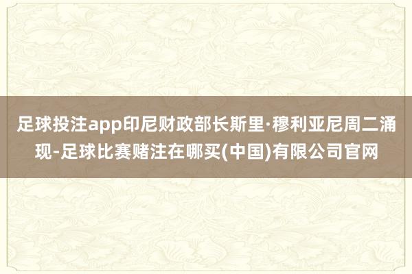 足球投注app印尼财政部长斯里·穆利亚尼周二涌现-足球比赛赌注在哪买(中国)有限公司官网