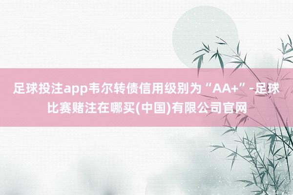 足球投注app韦尔转债信用级别为“AA+”-足球比赛赌注在哪买(中国)有限公司官网