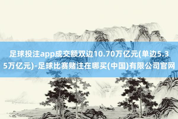 足球投注app成交额双边10.70万亿元(单边5.35万亿元)-足球比赛赌注在哪买(中国)有限公司官网