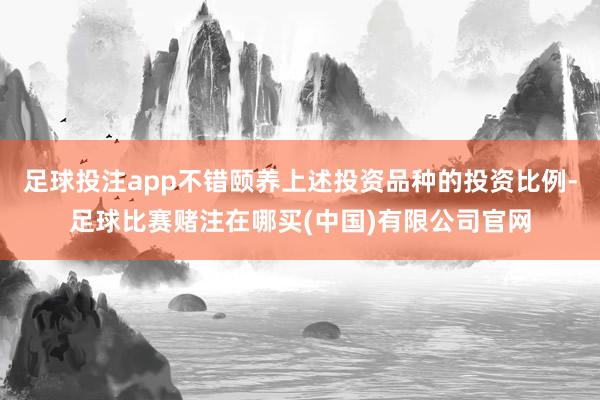 足球投注app不错颐养上述投资品种的投资比例-足球比赛赌注在哪买(中国)有限公司官网