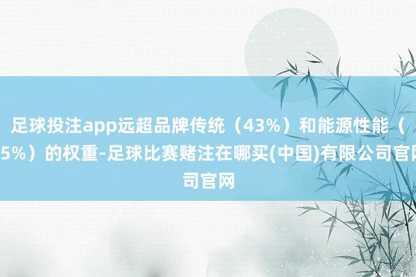 足球投注app远超品牌传统（43%）和能源性能（35%）的权重-足球比赛赌注在哪买(中国)有限公司官网