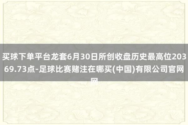 买球下单平台龙套6月30日所创收盘历史最高位20369.73点-足球比赛赌注在哪买(中国)有限公司官网