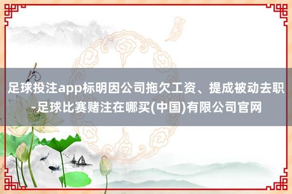 足球投注app标明因公司拖欠工资、提成被动去职-足球比赛赌注在哪买(中国)有限公司官网