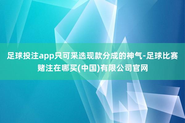 足球投注app只可采选现款分成的神气-足球比赛赌注在哪买(中国)有限公司官网