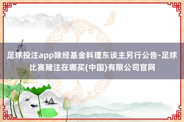 足球投注app除经基金料理东谈主另行公告-足球比赛赌注在哪买(中国)有限公司官网