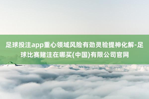 足球投注app重心领域风险有劲灵验提神化解-足球比赛赌注在哪买(中国)有限公司官网