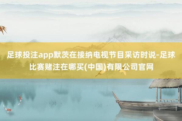 足球投注app默茨在接纳电视节目采访时说-足球比赛赌注在哪买(中国)有限公司官网