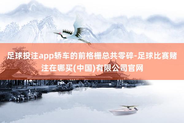 足球投注app轿车的前格栅总共零碎-足球比赛赌注在哪买(中国)有限公司官网