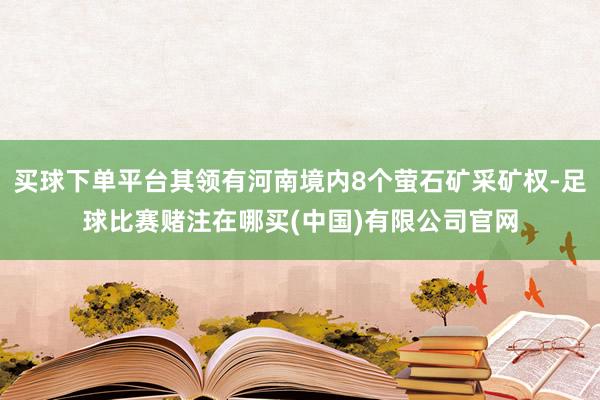 买球下单平台其领有河南境内8个萤石矿采矿权-足球比赛赌注在哪买(中国)有限公司官网
