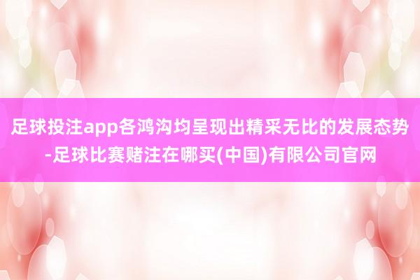 足球投注app各鸿沟均呈现出精采无比的发展态势-足球比赛赌注在哪买(中国)有限公司官网