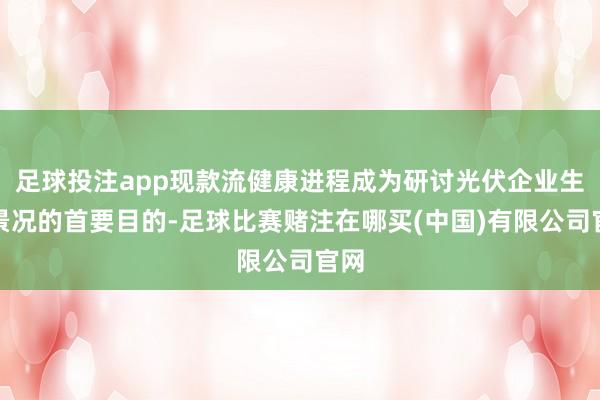 足球投注app现款流健康进程成为研讨光伏企业生涯景况的首要目的-足球比赛赌注在哪买(中国)有限公司官网