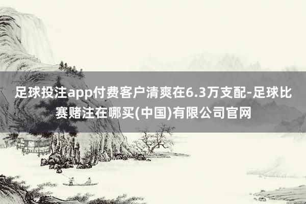 足球投注app付费客户清爽在6.3万支配-足球比赛赌注在哪买(中国)有限公司官网