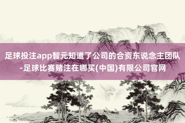 足球投注app智元知道了公司的合资东说念主团队-足球比赛赌注在哪买(中国)有限公司官网