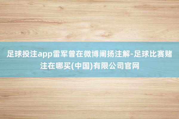 足球投注app雷军曾在微博阐扬注解-足球比赛赌注在哪买(中国)有限公司官网