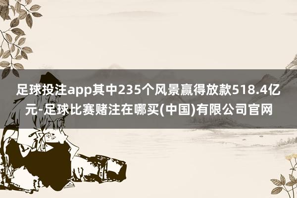 足球投注app其中235个风景赢得放款518.4亿元-足球比赛赌注在哪买(中国)有限公司官网