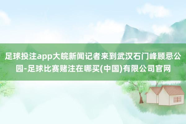 足球投注app大皖新闻记者来到武汉石门峰顾忌公园-足球比赛赌注在哪买(中国)有限公司官网