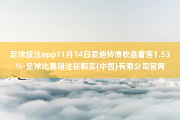 足球投注app11月14日爱迪转债收盘着落1.53%-足球比赛赌注在哪买(中国)有限公司官网