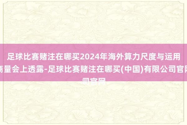 足球比赛赌注在哪买2024年海外算力尺度与运用商量会上透露-足球比赛赌注在哪买(中国)有限公司官网