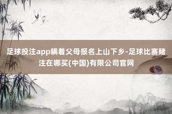 足球投注app瞒着父母报名上山下乡-足球比赛赌注在哪买(中国)有限公司官网