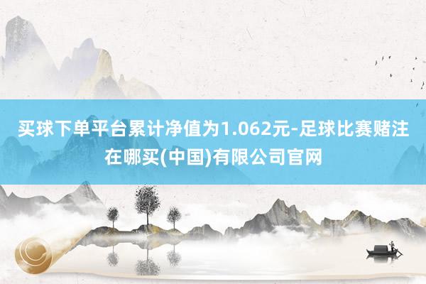 买球下单平台累计净值为1.062元-足球比赛赌注在哪买(中国)有限公司官网