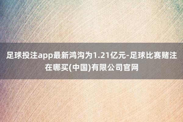 足球投注app最新鸿沟为1.21亿元-足球比赛赌注在哪买(中国)有限公司官网