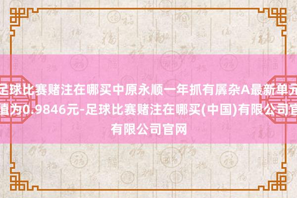 足球比赛赌注在哪买中原永顺一年抓有羼杂A最新单元净值为0.9846元-足球比赛赌注在哪买(中国)有限公司官网