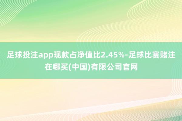 足球投注app现款占净值比2.45%-足球比赛赌注在哪买(中国)有限公司官网