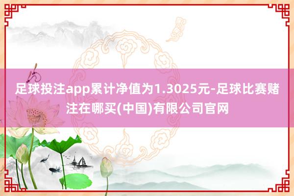 足球投注app累计净值为1.3025元-足球比赛赌注在哪买(中国)有限公司官网