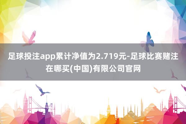 足球投注app累计净值为2.719元-足球比赛赌注在哪买(中国)有限公司官网