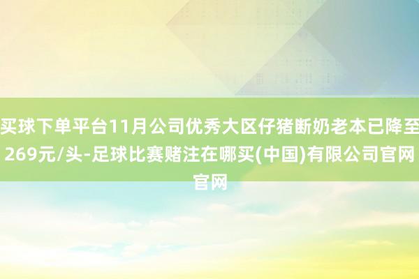 买球下单平台11月公司优秀大区仔猪断奶老本已降至269元/头-足球比赛赌注在哪买(中国)有限公司官网
