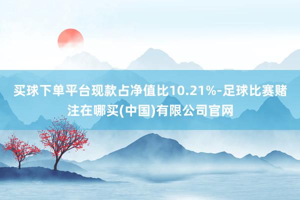 买球下单平台现款占净值比10.21%-足球比赛赌注在哪买(中国)有限公司官网